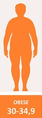 Picture of obese bmi